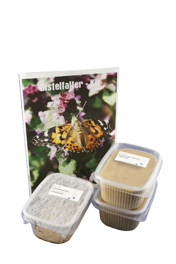Distelfalter Kit 2 freigestellt.webp