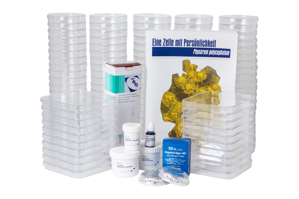 Schleimpilz Kit - Großes Modul