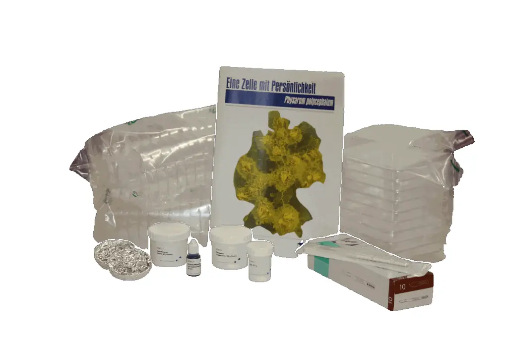 Schleimpilz Kit - Großes Modul