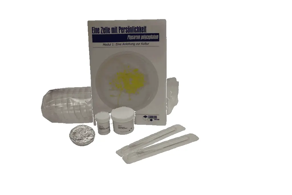 Slime Mold Kit - Module 1 - Culture Instructions