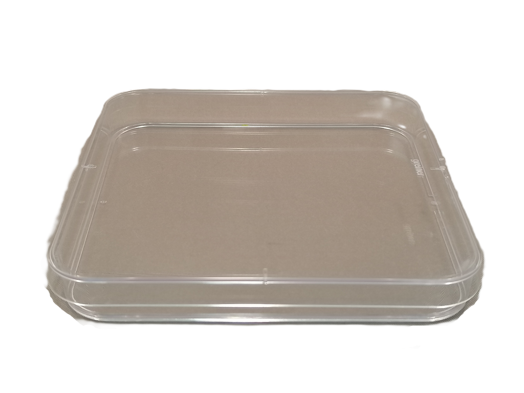 Petri dishes, plastic, square, 10 pieces