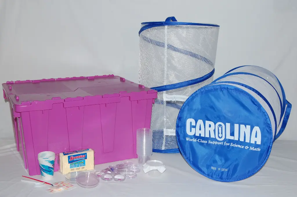 STC Experimentiereinheit "Lebenszyklus Schmetterlinge"