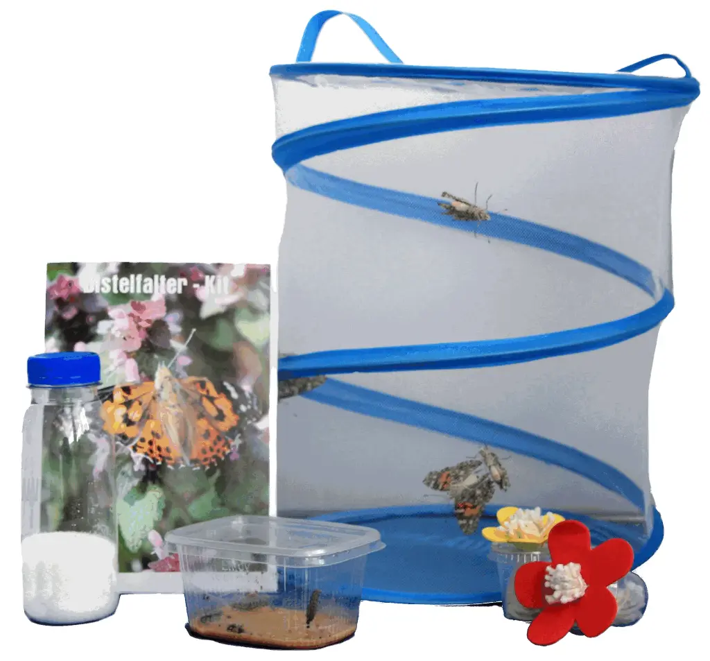 Distelfalter Kit