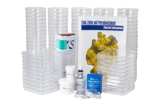 [DCS6111A] Slime Mold Kit - Large Module