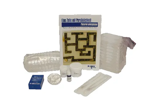 [DCS6111C] Schleimpilz Kit - Modul 2 - Mikroskopische Untersuchungen