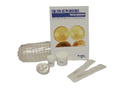 [DCS6111D] Slime Mold Kit - Module 3 - Chemotaxis