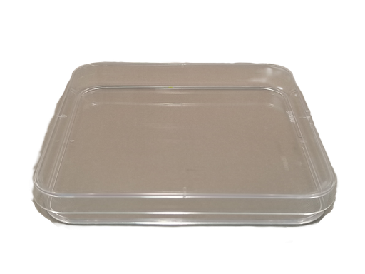 [DCS6120] Petri dishes, plastic, square, 10 pieces