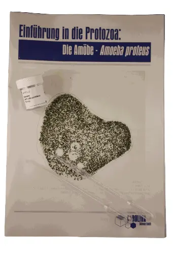 [DCS9301] Einführung in die Protozoa - Amoeba proteus