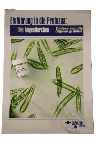 [DCS9302] Einführung in die Protozoa - Euglena gracilis